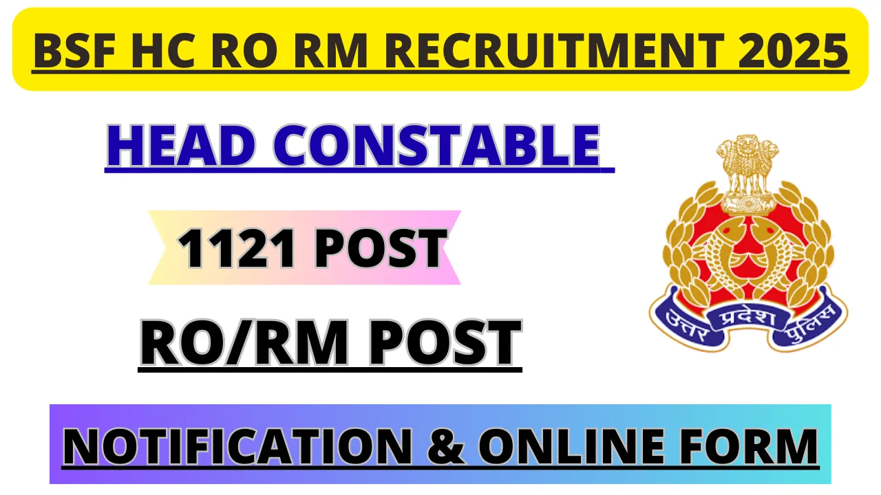 BSF HC RO RM Recruitment 2025